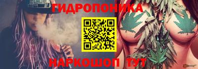 бошки Вязьма