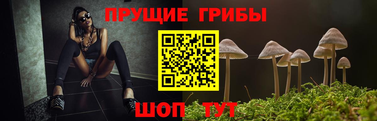 Воскресенск  Псилоцибиновые грибы GOLDEN TEACHER  Вход с VPN 
